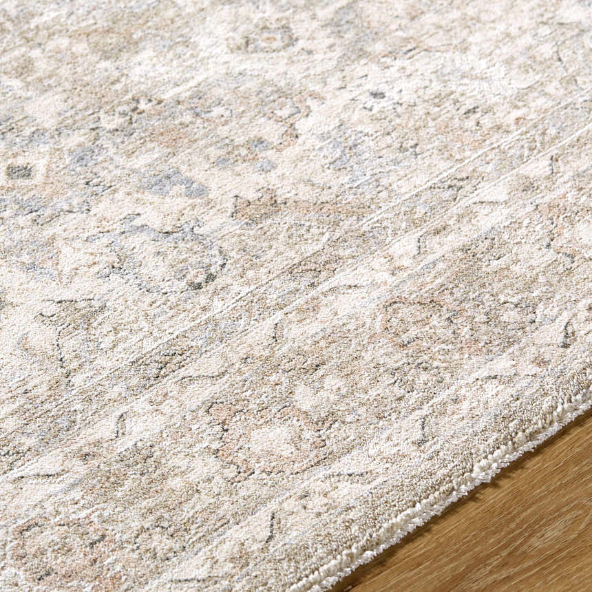 Close-up of the Tyren Area Rug showing its cream, light slate, sage, and tan colors and traditional pattern. Texture