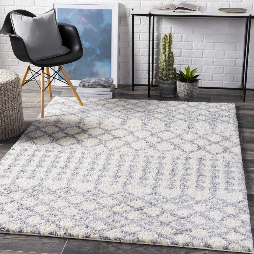 Teheran Area Rug - Clearance
