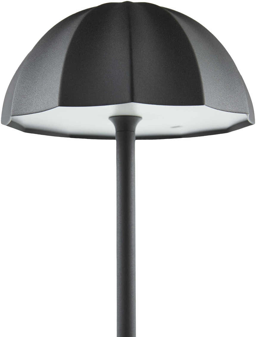 Terriente Black Table Lamp