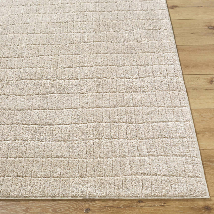 Close-up of the Cascade Machine Woven PNW Home x LIVABLISS PNWCS-2306 Area Rug in beige and light brown with a textured grid pattern. Front