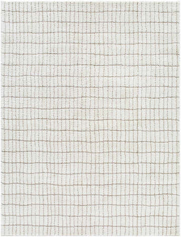 Close-up of the Cascade Machine Woven PNW Home x LIVABLISS rug in ivory and taupe, featuring a textured grid pattern. Design-Rectangle-537