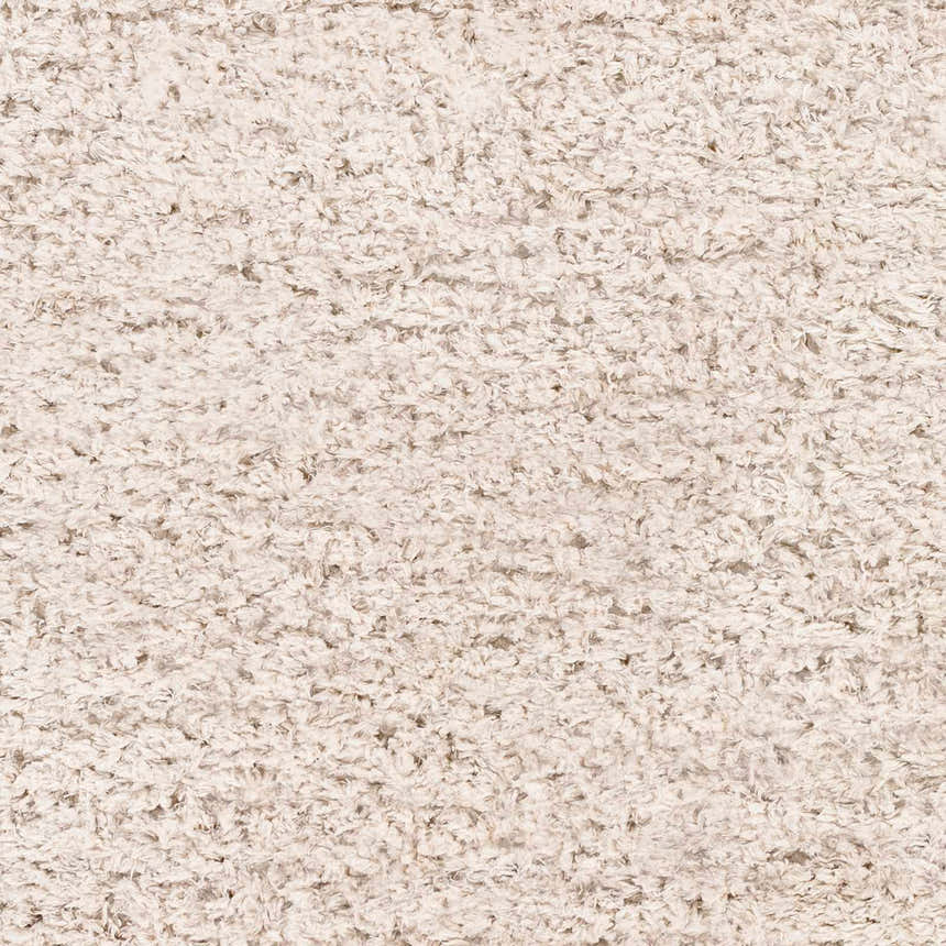 Sample Siari Oatmeal Shag Rug