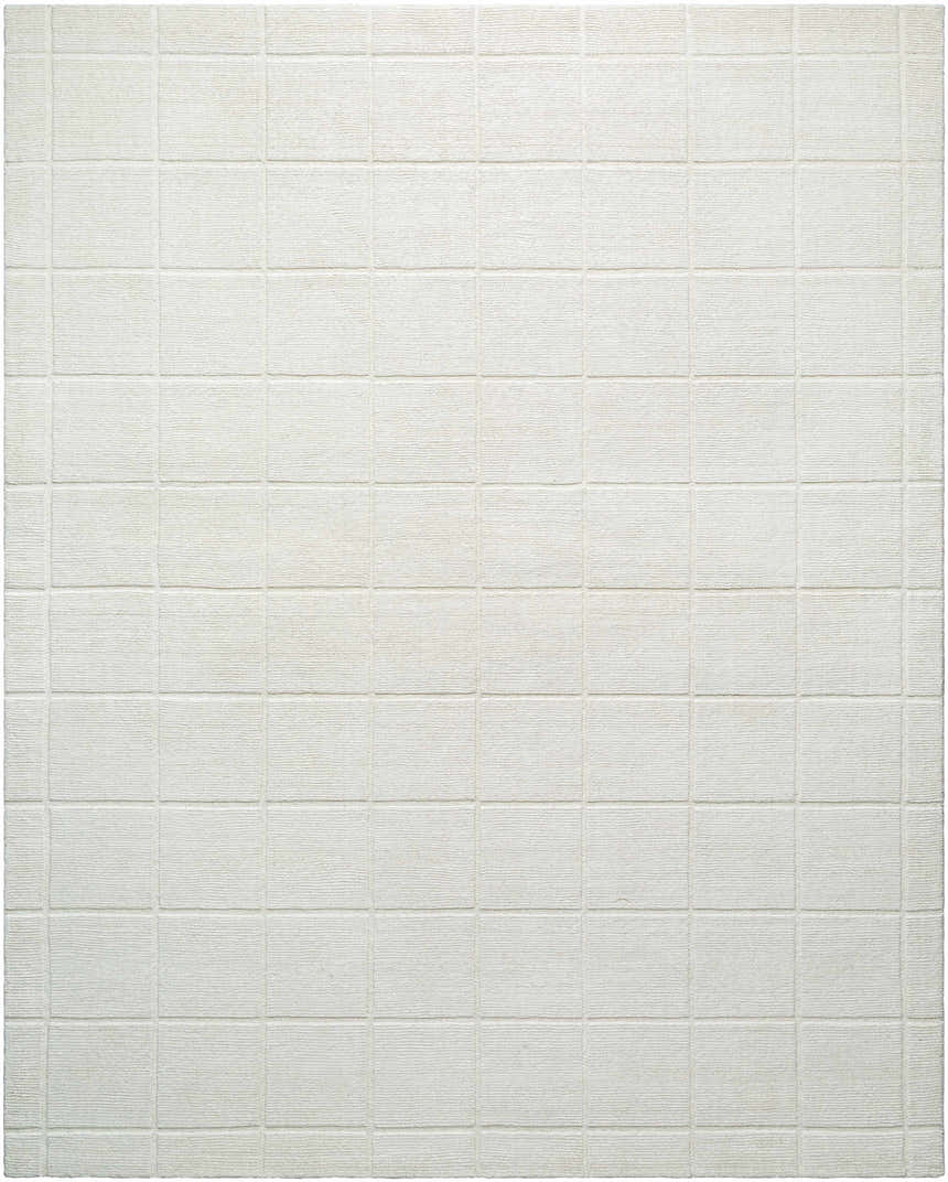 Sample Tocho Area Rug