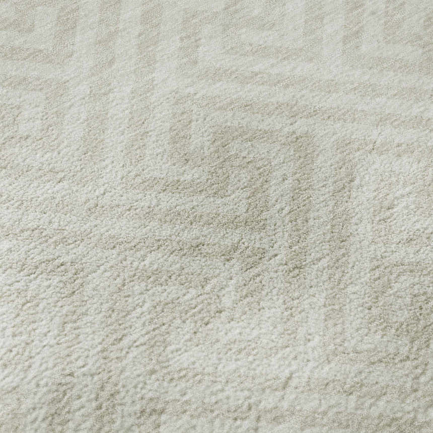 Close-up of the beige Dalyn Luxury Indoor/Outdoor The Reserve TR5 rug, showing geometric pattern and soft texture.
