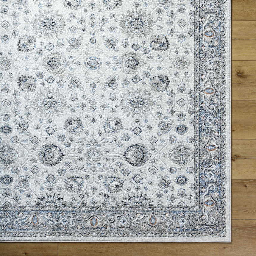 Sample Tomer Area Rug - Clearance