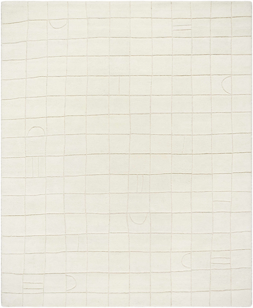 Tuuka Silver Beige Area Rug