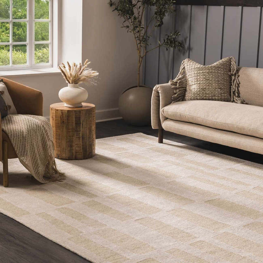 Living room scene with a neutral sofa and the Teige Light Silver Area Rug. Roomscene-Rectangle