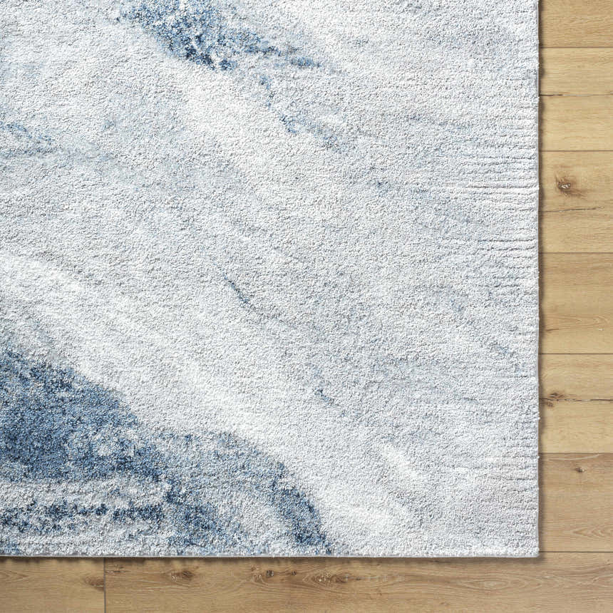 Sample Tobit Area Rug - Clearance