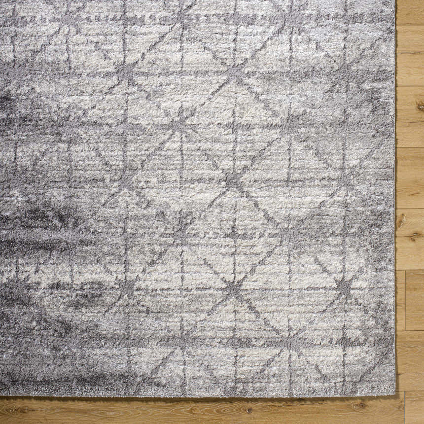 Sample Tyree Distressed Gray Trellis Area Rug