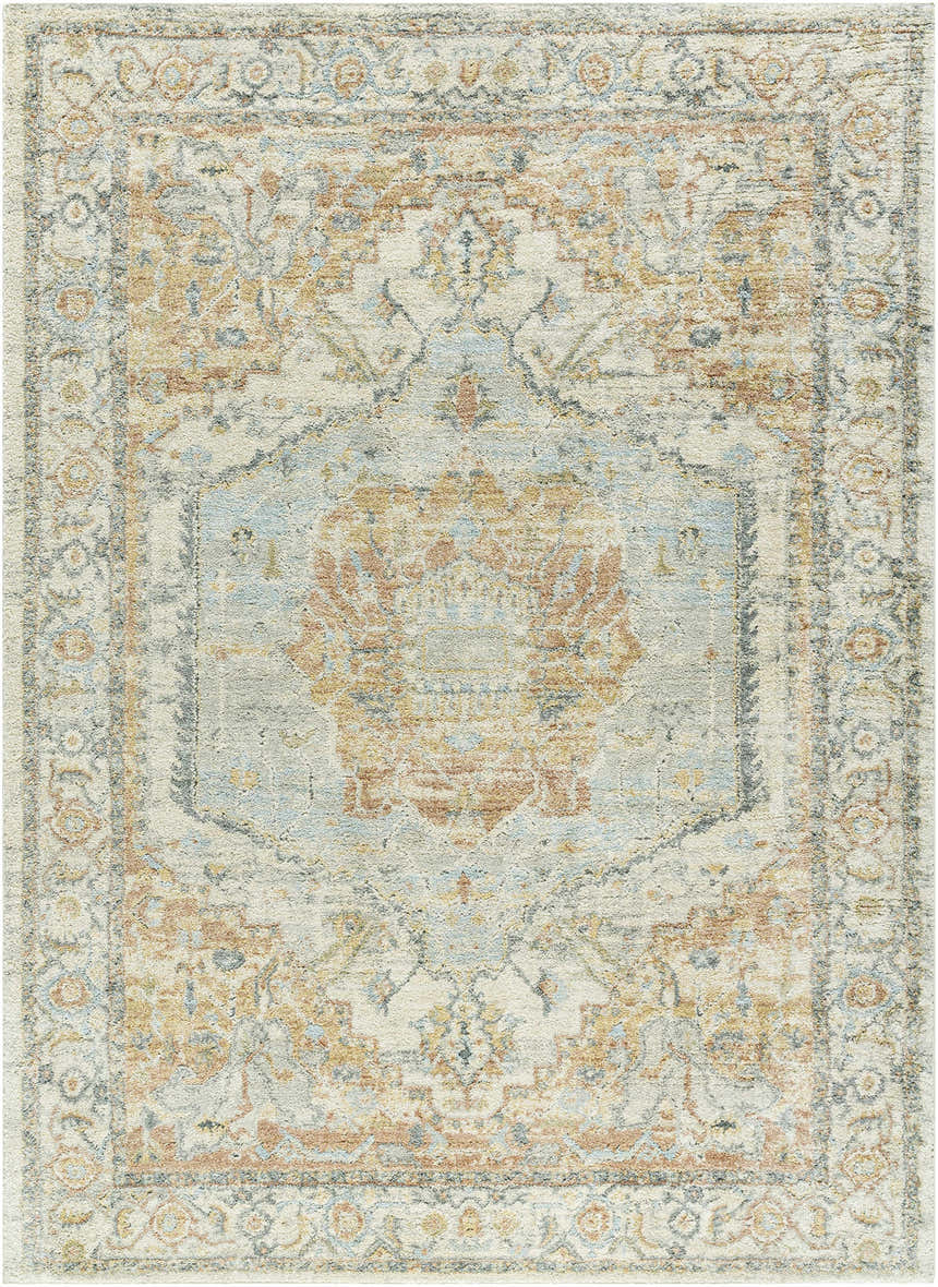 Sample Vaeda Blue & Beige Medallion Area Rug