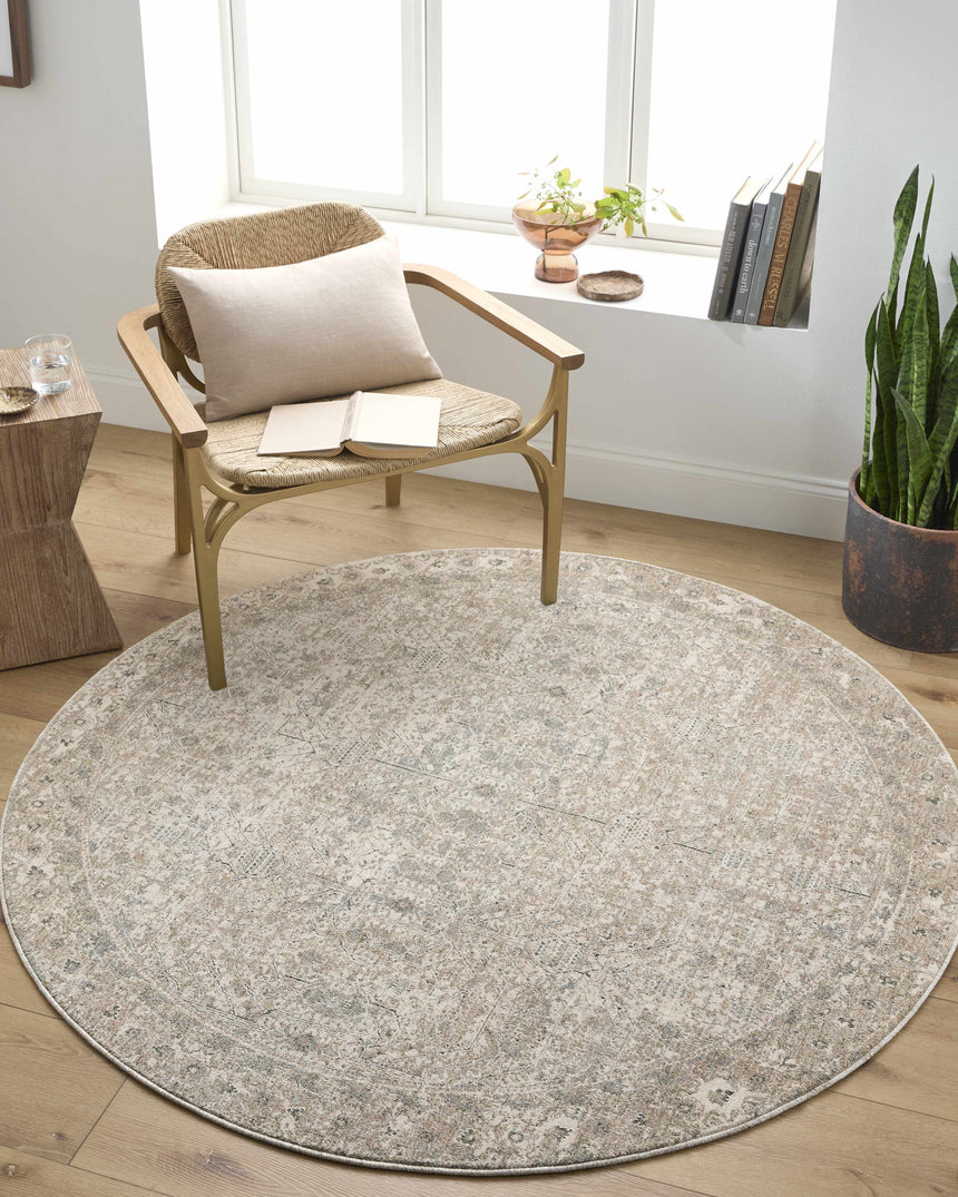 Avalyn Area Rug