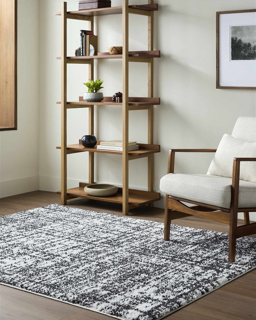 Anisha Black Area Rug