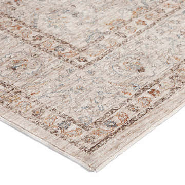 Close-up of the Dalyn Vienna VI8 Ivory Area Rug. Beige rug with brown, gold, and light blue traditional patterns.