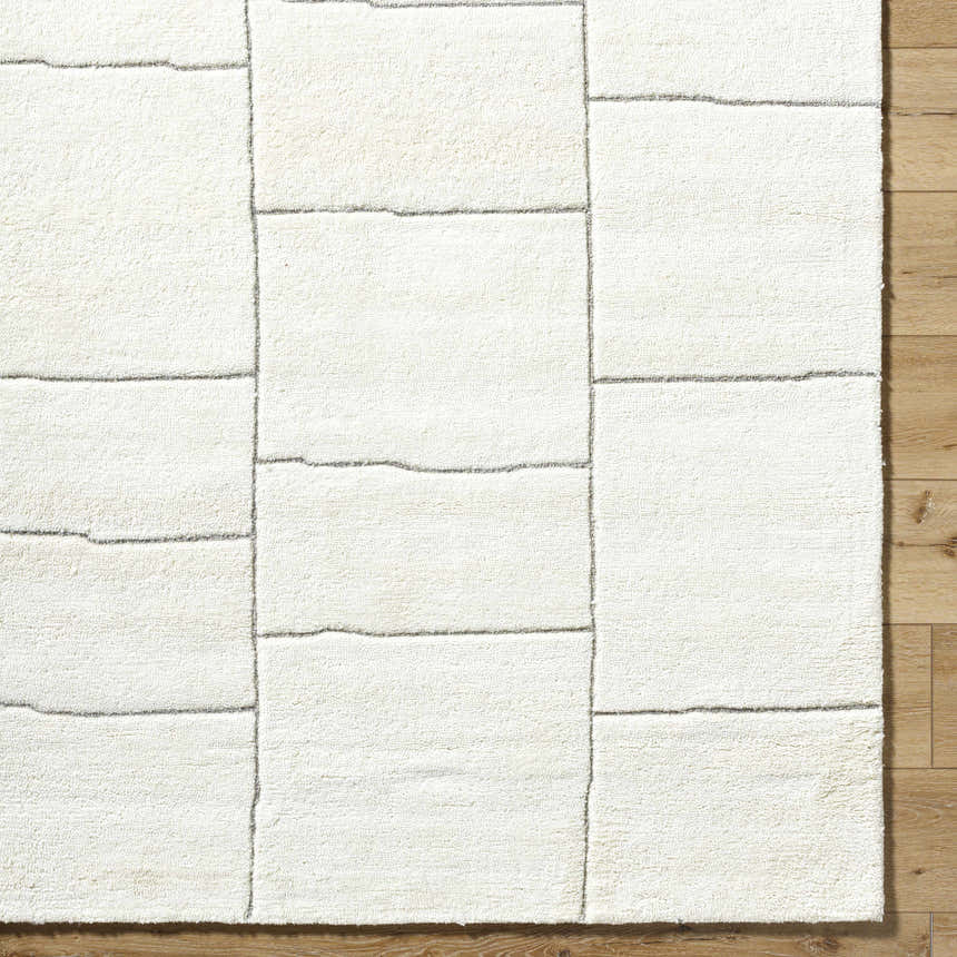 Sample Xylia Charcoal Area Rug
