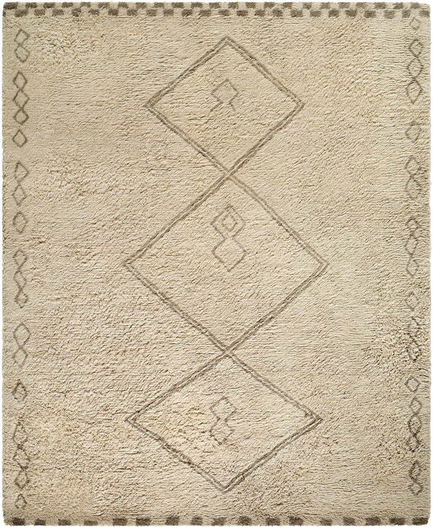 Close-up of the hand-tufted Yurem Area Rug. Beige wool rug with a diamond pattern and geometric border. Farmhouse style. Design-Rectangle-810