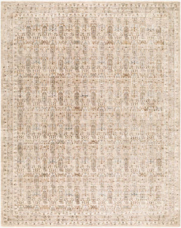 Detailed texture of the Dexui Gray Persian Area Rug, a machine-woven polyester rug with light brown, gray, and olive tones. Design-Rectangle-710102