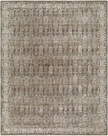Close-up of the Wutii Charcoal Persian rug. Features a traditional pattern in charcoal, light brown, gray, olive, and taupe. Design-Rectangle-710102