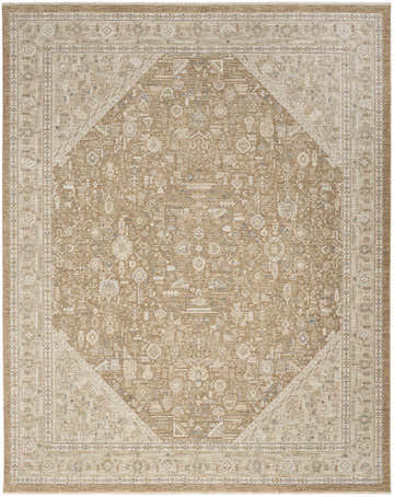 Close-up of Nourison Retreat Mocha Vintage Indoor Area Rug. Light brown, rectangle rug with a vintage-inspired design.