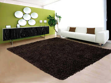 Living room scene with a Nourison Zen Espresso Shag rug, white sofa, green wall, and modern black and white cabinet.