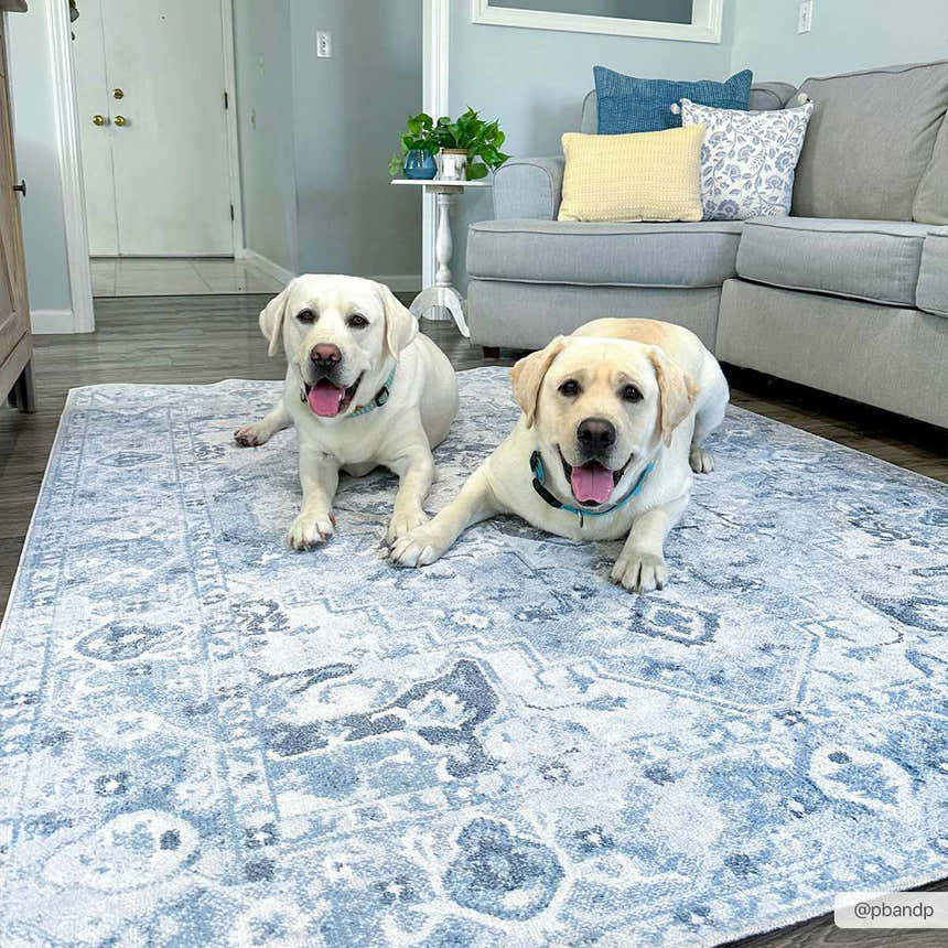 Sample Ankti Blue Washable Area Rug - Clearance