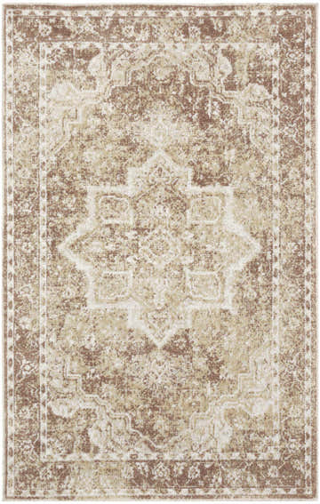 Close-up of Nourison Astra Rust Vintage Rug. Machine-made with a distressed, traditional pattern in rust and beige tones.