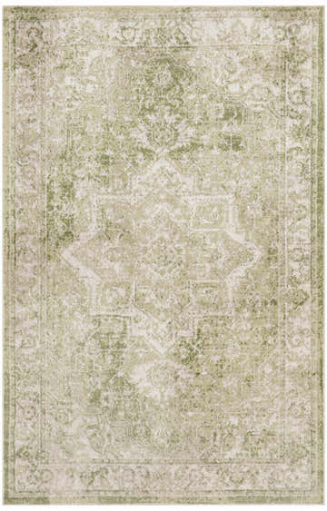 Close-up of Nourison Astra Ivory Green Vintage rug. Machine-made polyester rug with a distressed, classic design.