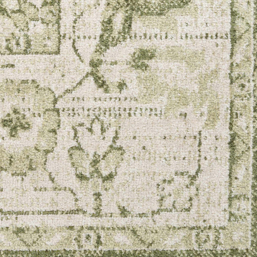 Close-up of the Nourison Astra Ivory Green rug, showing its vintage pattern and soft texture.