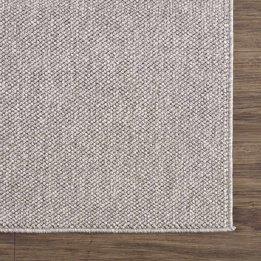 Sample Mayes Light Gray Area Rug