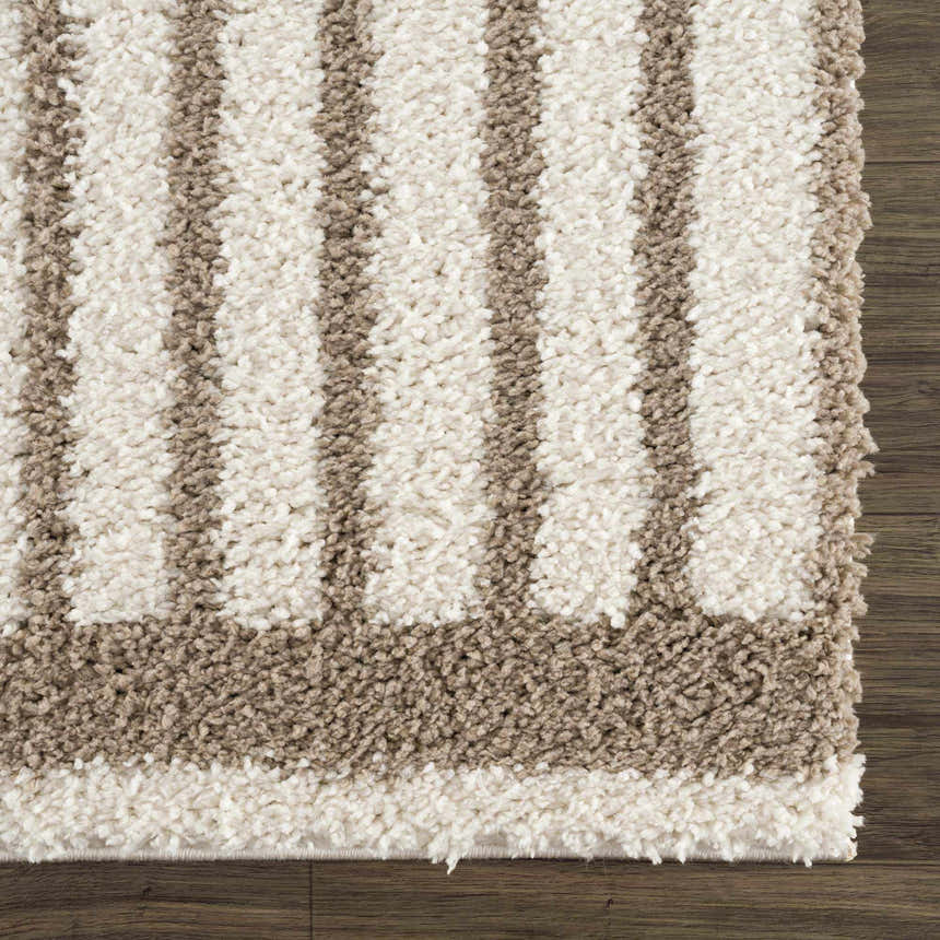 Close-up of the Jola Beige Area Rug, showcasing its textured shag pile and geometric striped pattern in beige, camel, and white. Swatch