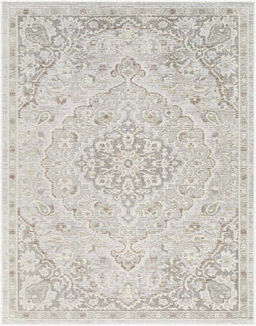 Close-up of the Carmela Becki Owens x LIVABLISS BOCM-2302 Area Rug. Beige, ivory, and brown traditional floral pattern. Design-Rectangle-537