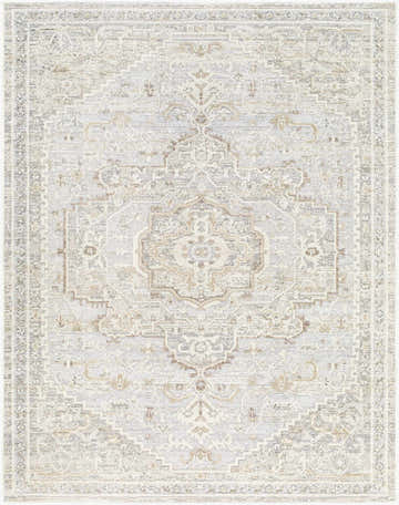 Close-up of the Carmela Becki Owens x LIVABLISS BOCM-2303 Area Rug. Beige, ivory, gray and tan traditional pattern. Design-Rectangle-537