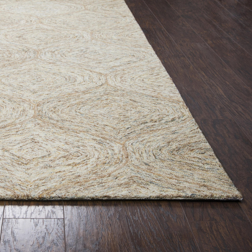 Rizzy BR361A Area Rug