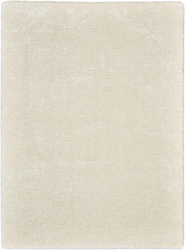 Close-up of the ivory Nourison Twilight rug. Soft, neutral texture and subtle pattern. Mid-Century Modern style.