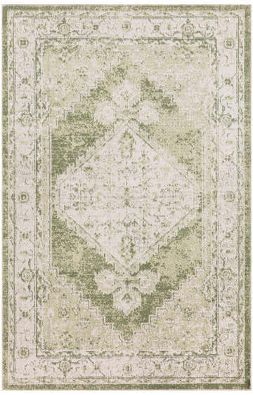 Close-up of Nourison Astra Ivory Green rug. Vintage style with chestnut accents and a distressed, ornate pattern.