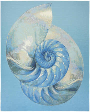Close-up of Nourison Color Splash Blue Ivory Area Rug featuring a detailed nautilus shell design. Coastal style.