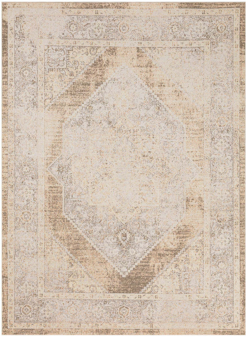 Close-up of the Nourison Astra Beige Vintage Area Rug. Machine-made with a distressed diamond and border pattern.