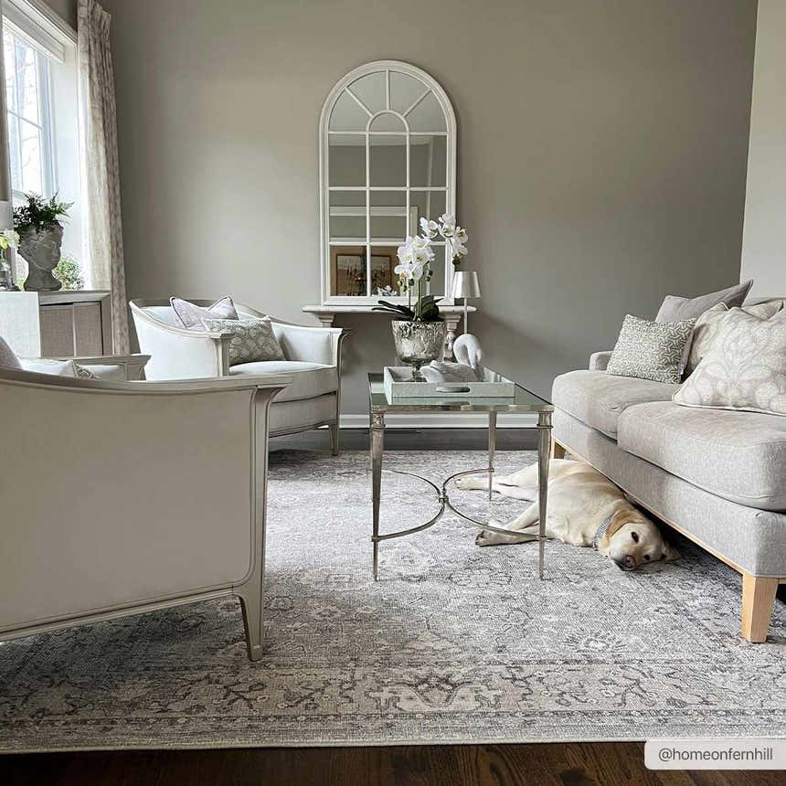 Living room scene with gray sofa and chairs on the Davina Becki Owens x LIVABLISS rug. A dog rests on the rug. Roomscene-Rectangle