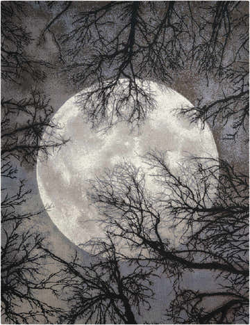 Close-up of Nourison Twilight Moon Rug, featuring a moon and tree branch design in gray and black tones.