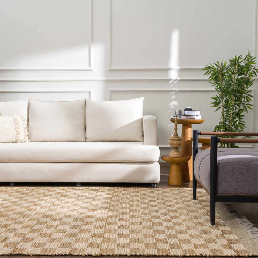 Living room scene with a beige sofa and the Ionut Checkered Jute Area Rug in beige and tan. Farmhouse style. Roomscene-Rectangle