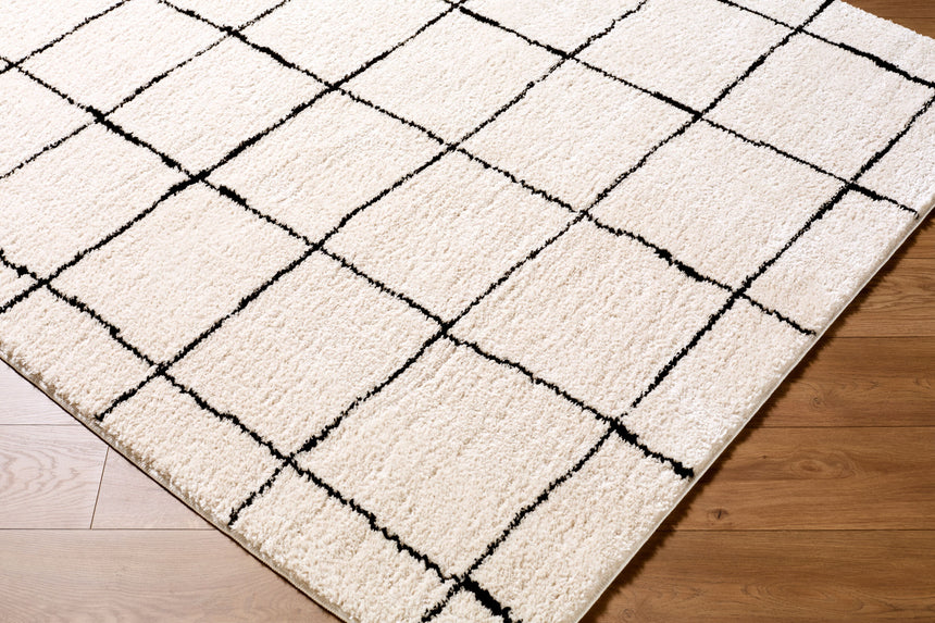 Isthia Area Rug