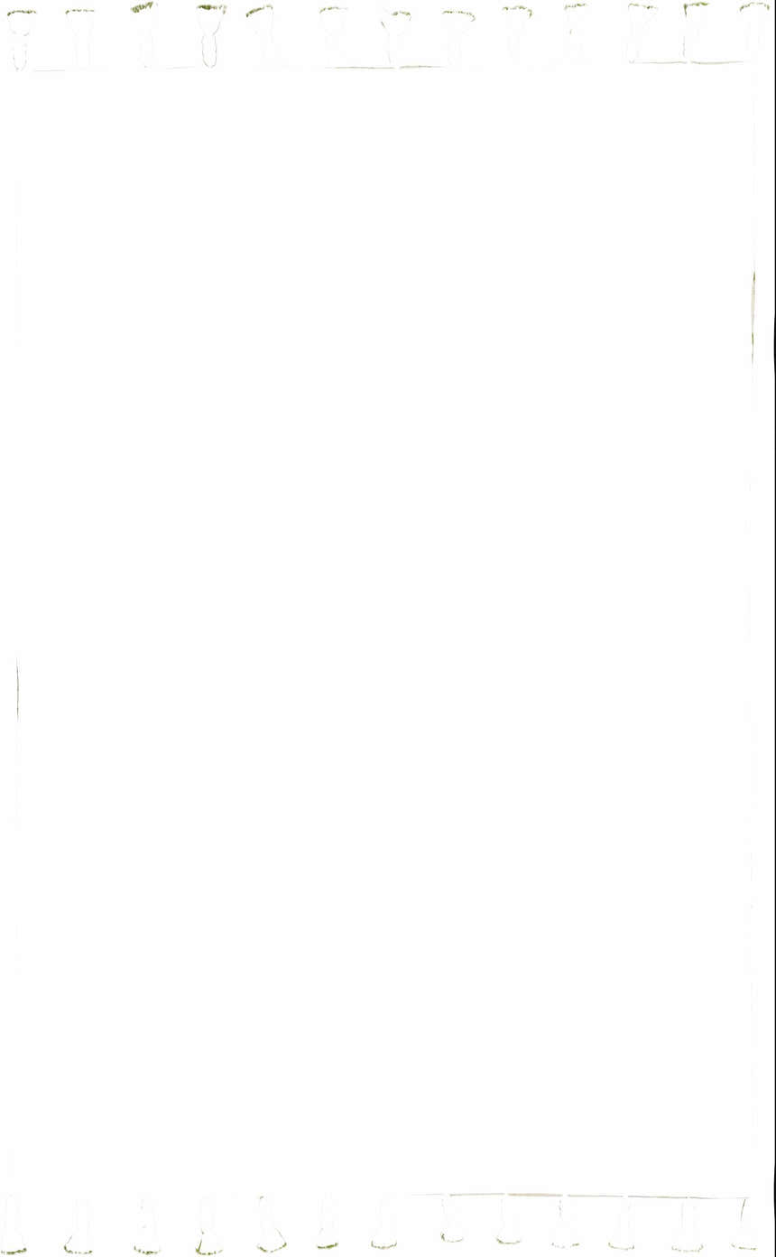 Close-up of the ivory and green Nourison Rio Vista Bohemian rug showing the wool texture and handmade construction.