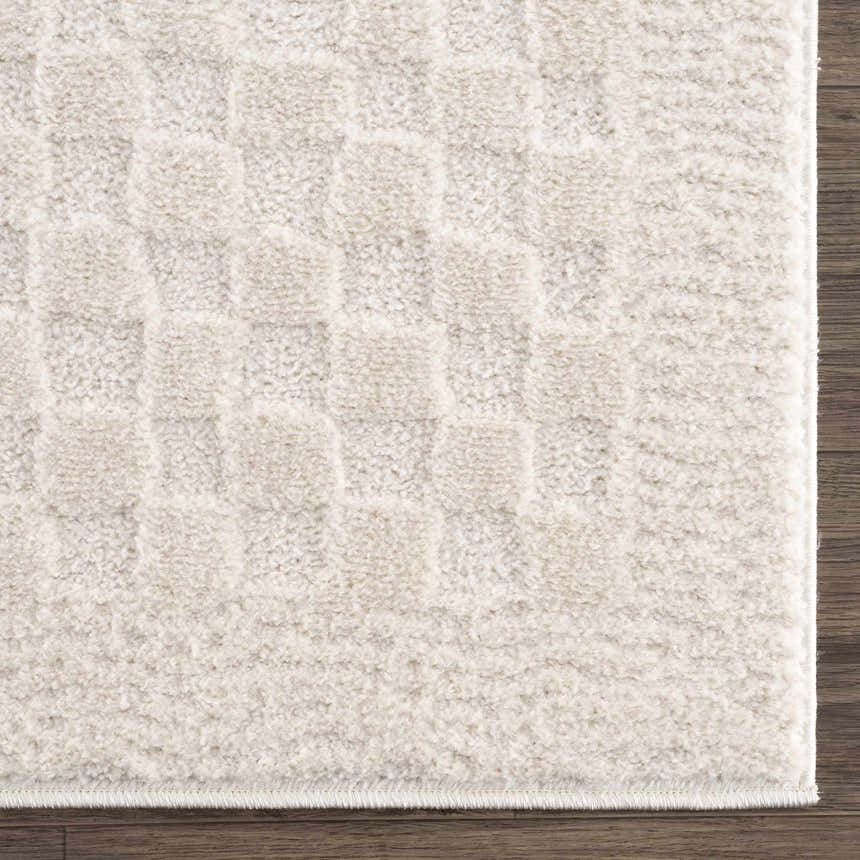 Sample Leryn Ivory Checkered Area Rug