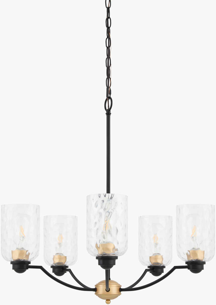 Paprotnia Chandelier