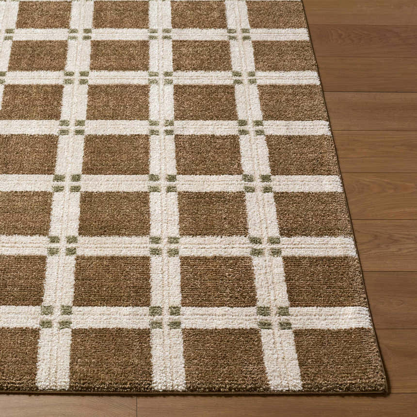 Close up of the Kalkin Brown Area Rug showing its brown, off-white, and olive square pattern and machine woven texture. Front