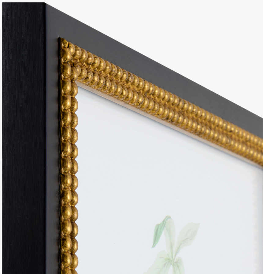 Soft Lime Green Rustic Framed Wall Art for modern gallery walls