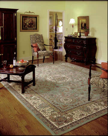 Living room with dark wood furniture and Nourison 2000 Light Green Persian rug adding classic style.