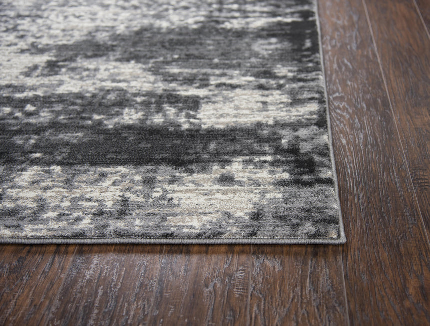 Rizzy PN6990 Area Rug
