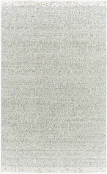 Close-up of Sorell Sage Rug: ecru, ivory, and sage textured weave with fringe. Farmhouse style, 100% wool rug. Design-Rectangle-576