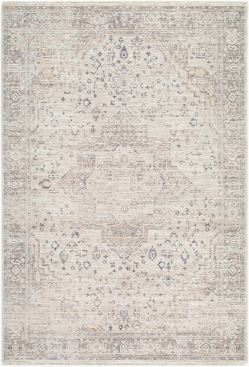 Close-up of the Dalila Area Rug. Beige, charcoal, cream, gray, and tan traditional rug with a farmhouse design. Design-Rectangle-575