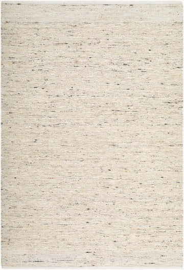 Close-up of the Zhigulevsk Area Rug. Hand-woven wool rug in beige, tan, and charcoal with a subtle textured pattern. Design-Rectangle-576